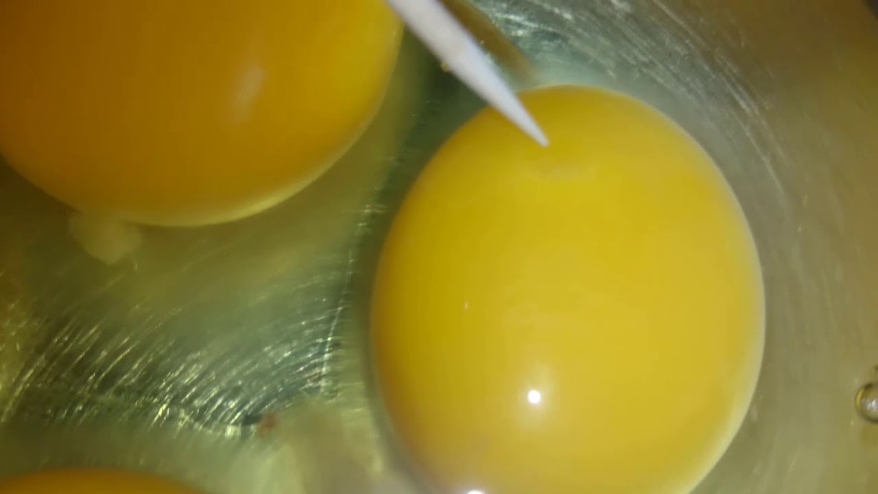 Döllü yumurta nasıl anlaşılır ?