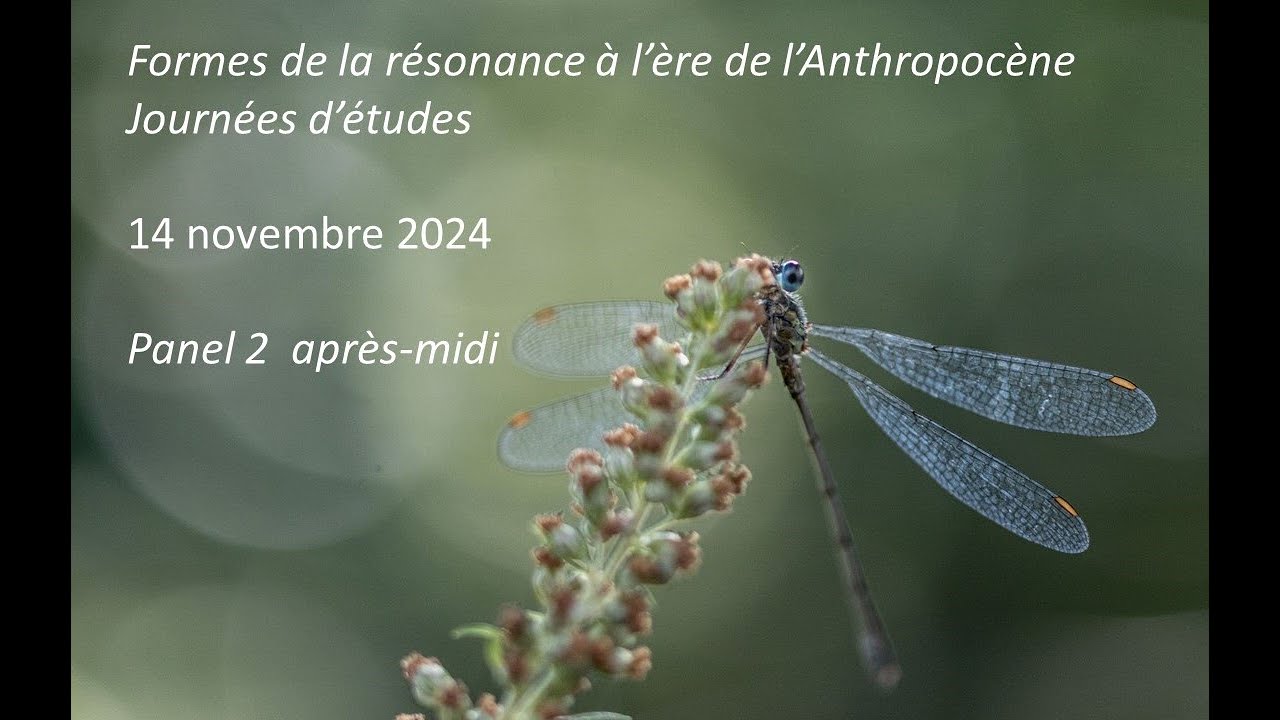 Formes de la résonance à l'ère de l'Anthropocène