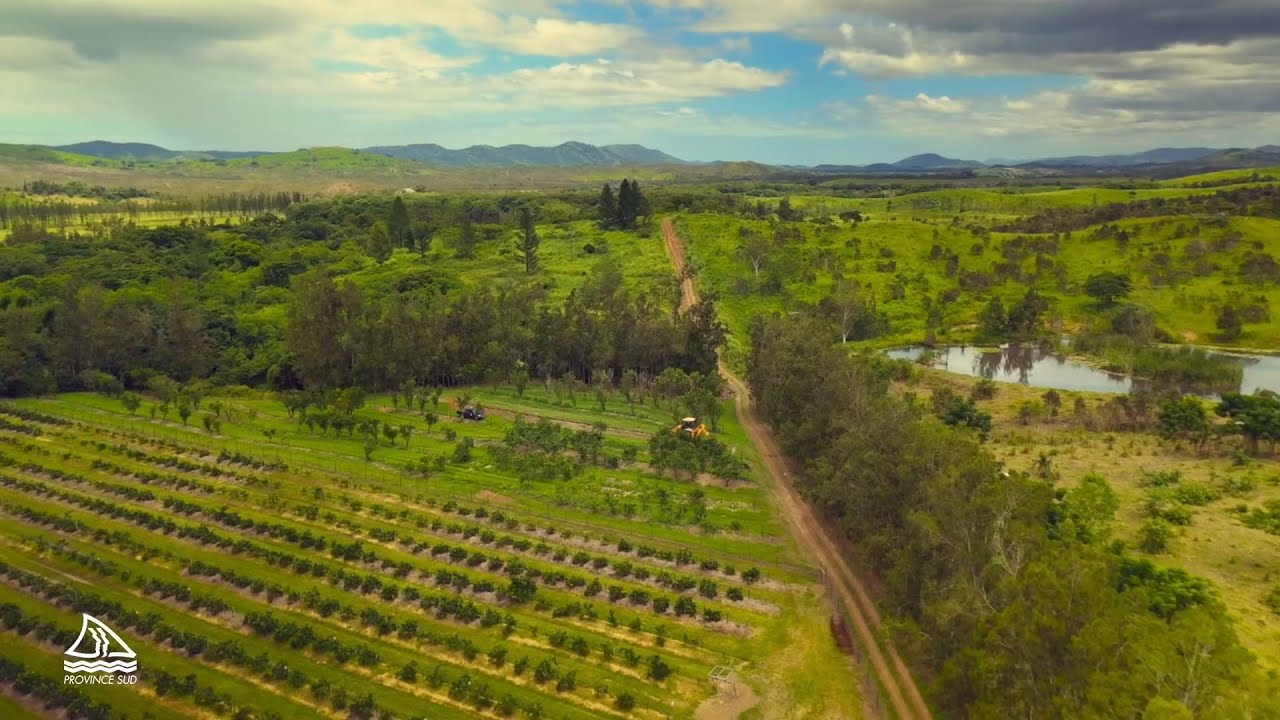 06.03.23 -  [Agriculture] La Province souhaite redynamiser la filière agrume