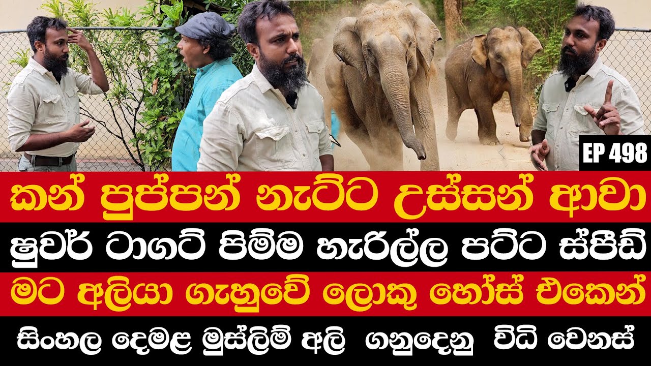 කන් පුප්පන් නැට්ට උස්සන් ආවා | ෂුවර් ටාගට් පිම්ම හැරිල්ල පට්ට ස්පීඩ් | මට අලියා ගැහුවේ  හෝස් එකෙන්