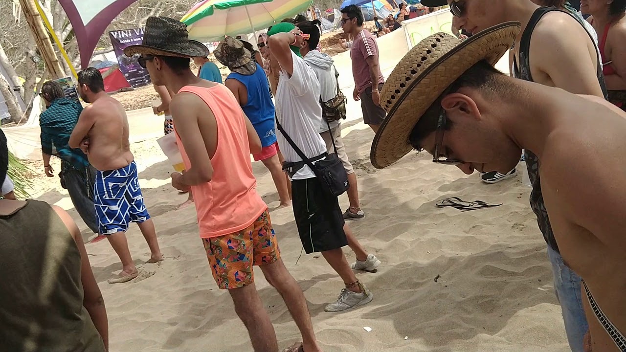 Bizzare Contact - The Beach @Natural Experience 2019