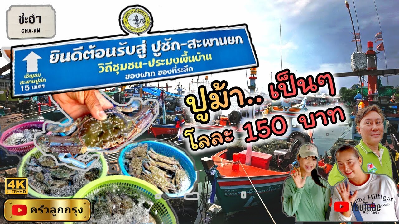 ปูชัก สะพานยก​ สะพานปลาชะอำ  l  อลังการ-ปูม้า เป็นๆ โลละ 150 บาท  l  ชาวประมง ขายเอง คุ้มค่าที่ได้มา