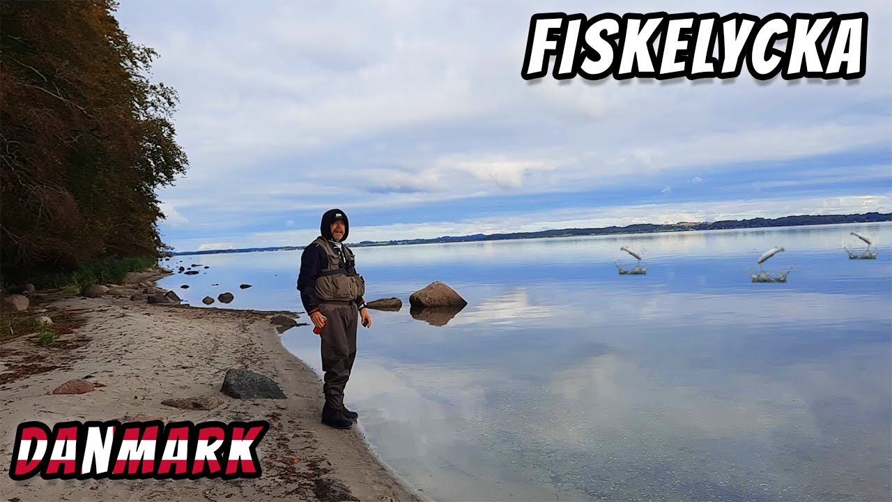 Spegelblankt Havsöringsfiske på Fyn Danmark | Fiskelycka