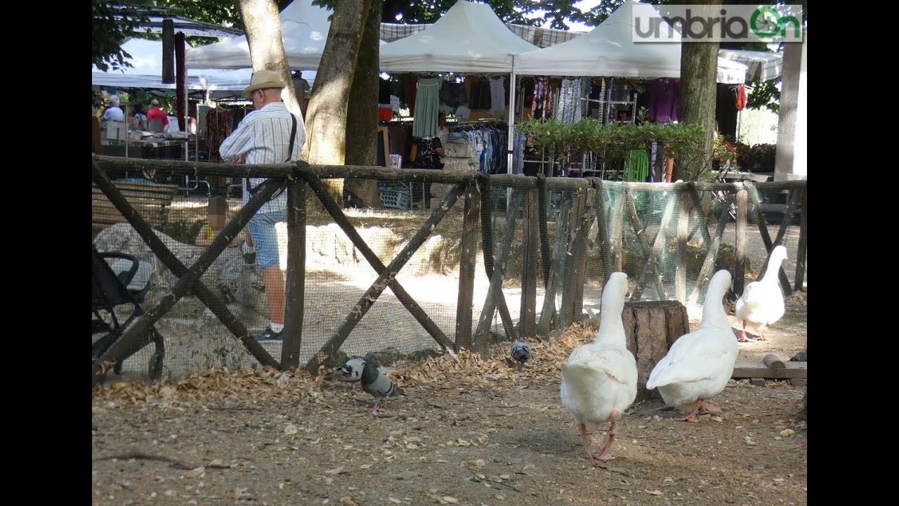 Terni, mercatino alla Passeggiata: più ombra, spazi più ristretti, afflusso. Le opinioni