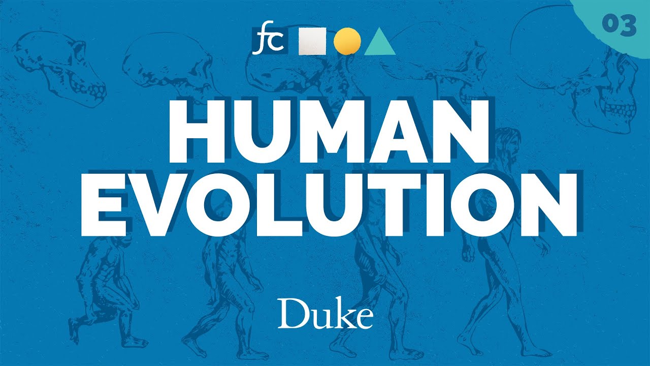 Evolution: A Brief History of Us | Fundamental Concepts