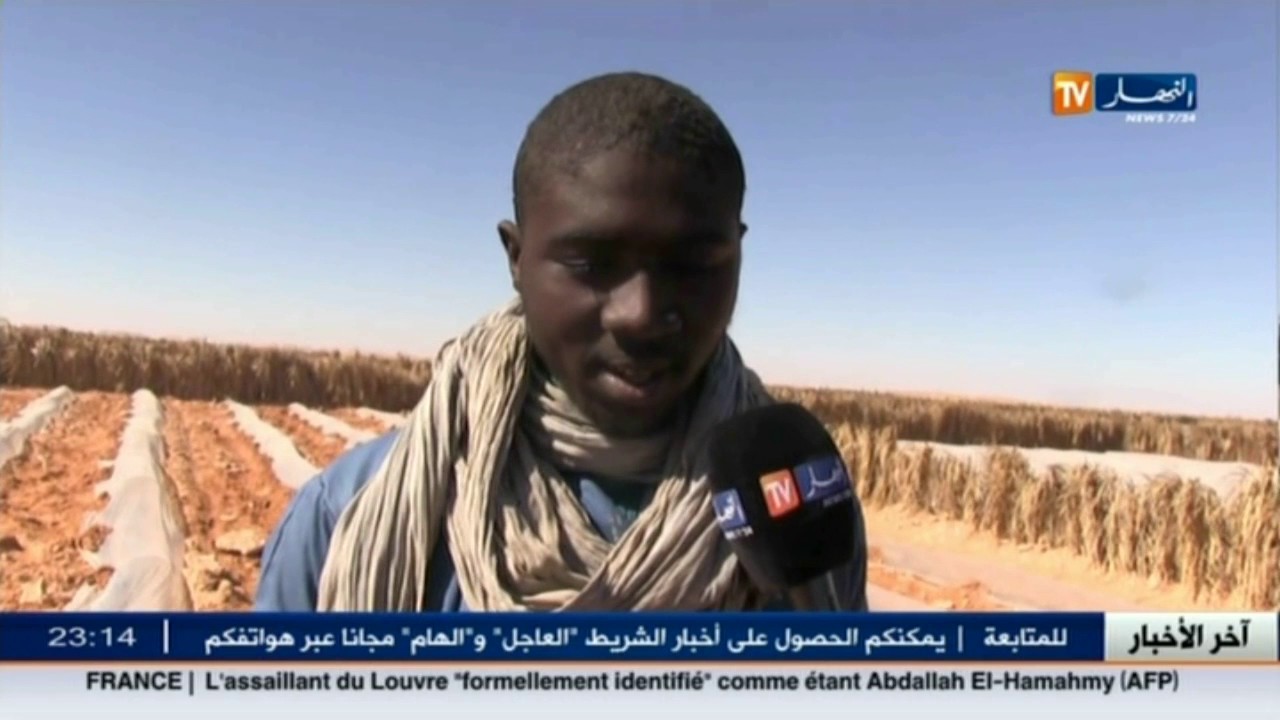 غرداية: بين الفلاحة ورعي الغنم.. هكذا يعيش الطوارق