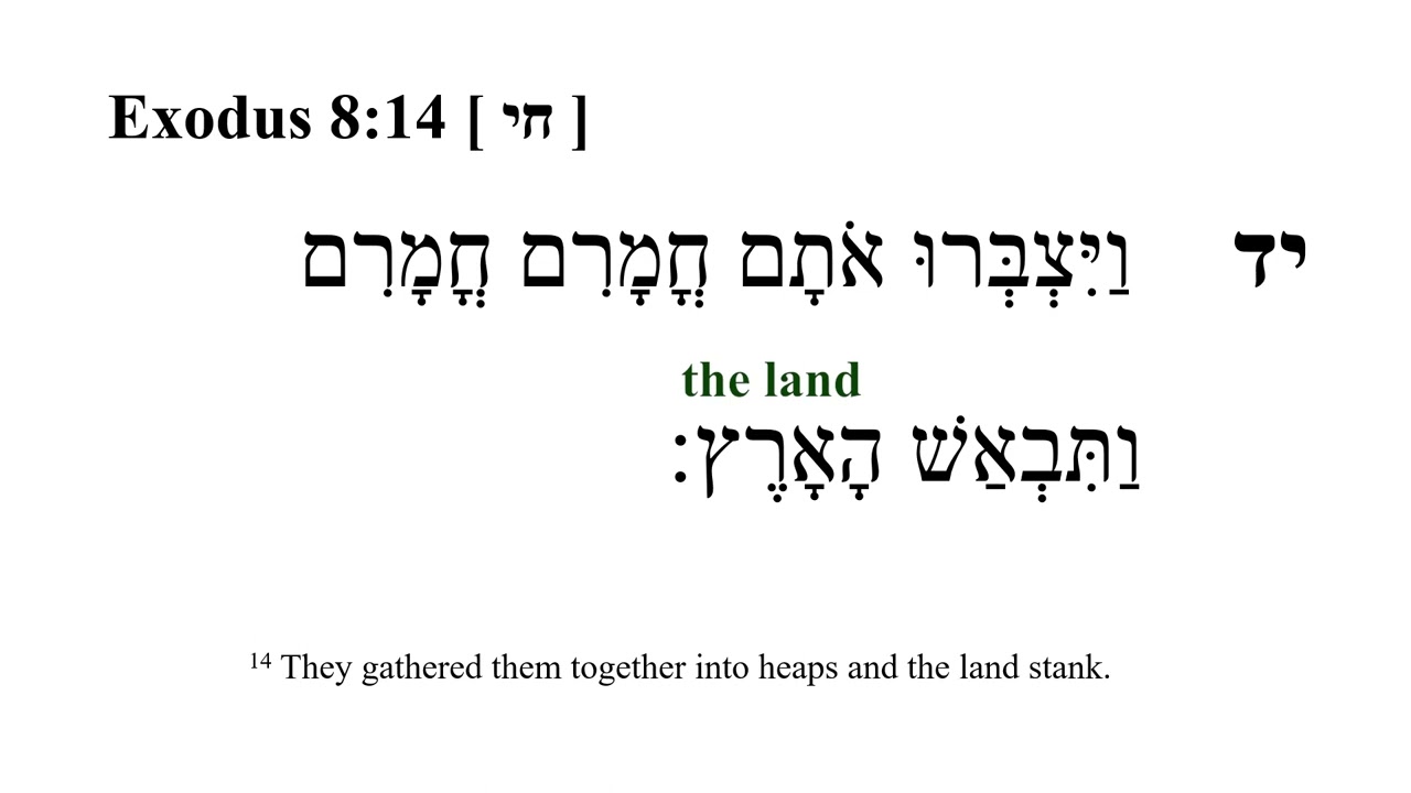 Exodus 8 -- Hebrew Bible Speaker with English Captions