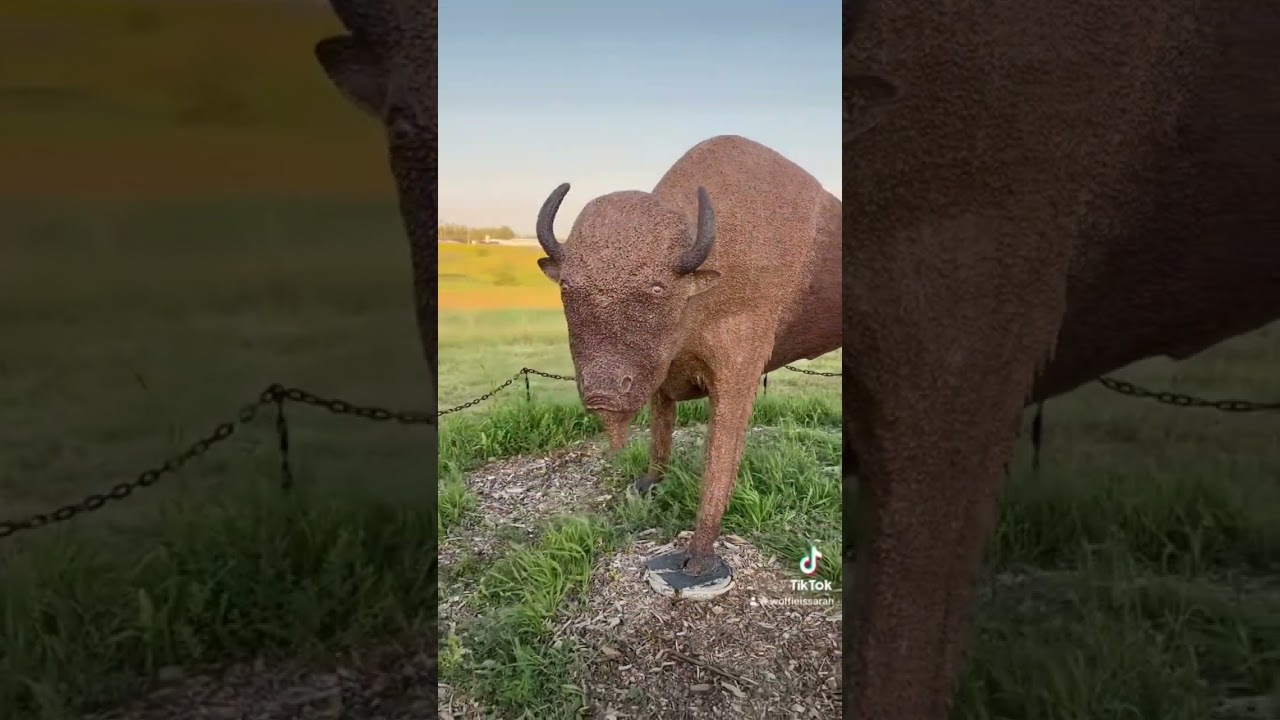 Moose Jaw 