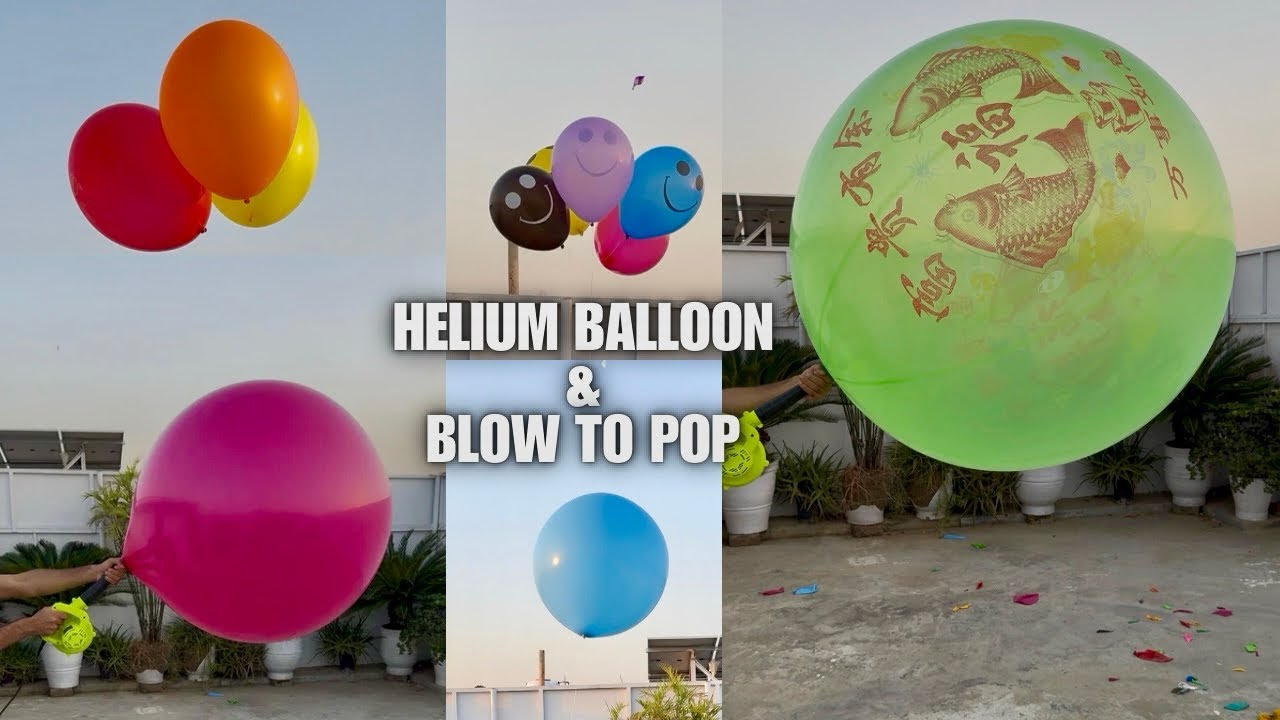 Helium Flying Balloons Pop & Blow To Pop Big Balloons