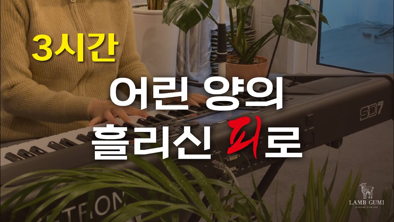 성령의 임재가 충만한 어린 양의 흘리신 피로 3시간 연속듣기 SOAKING WORSHIP