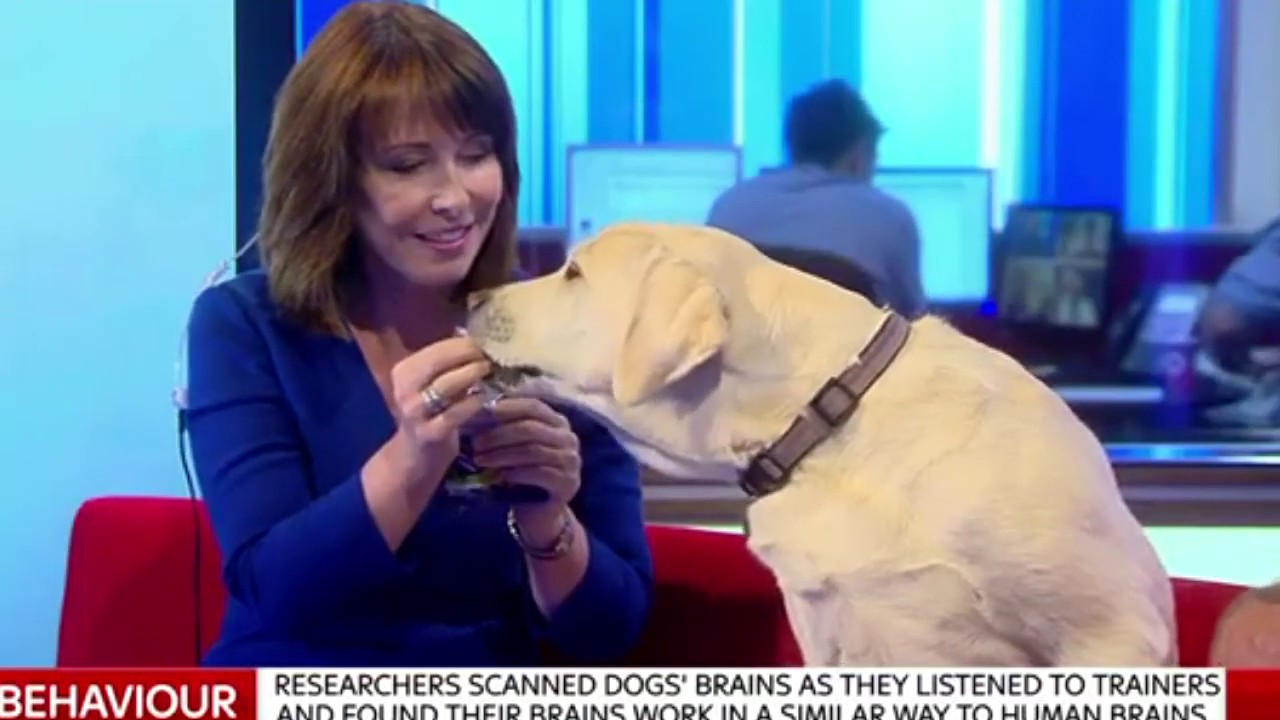 Kay Burley - Short Blue Dress On The Sofa