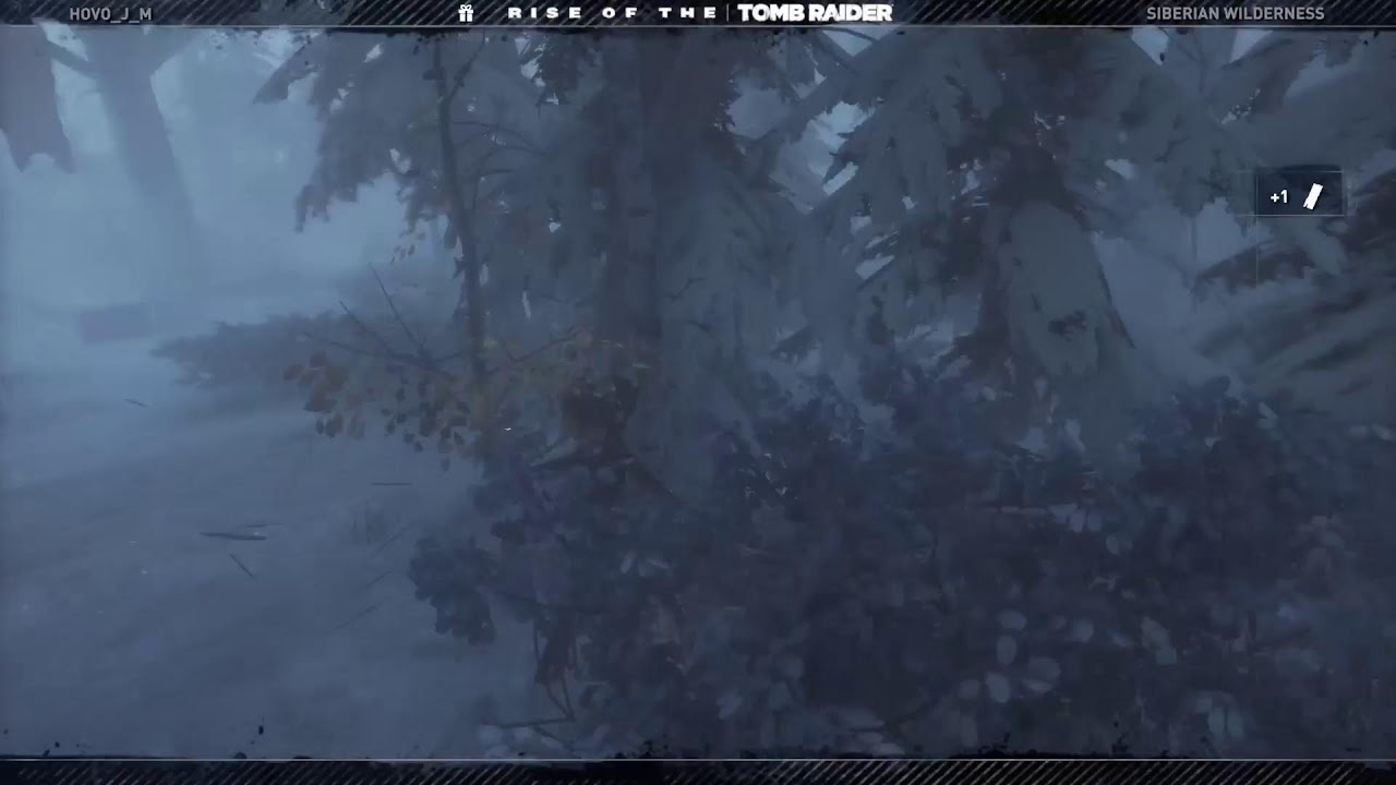 mainly endurance some missions
Rise of the Tomb raider 👍