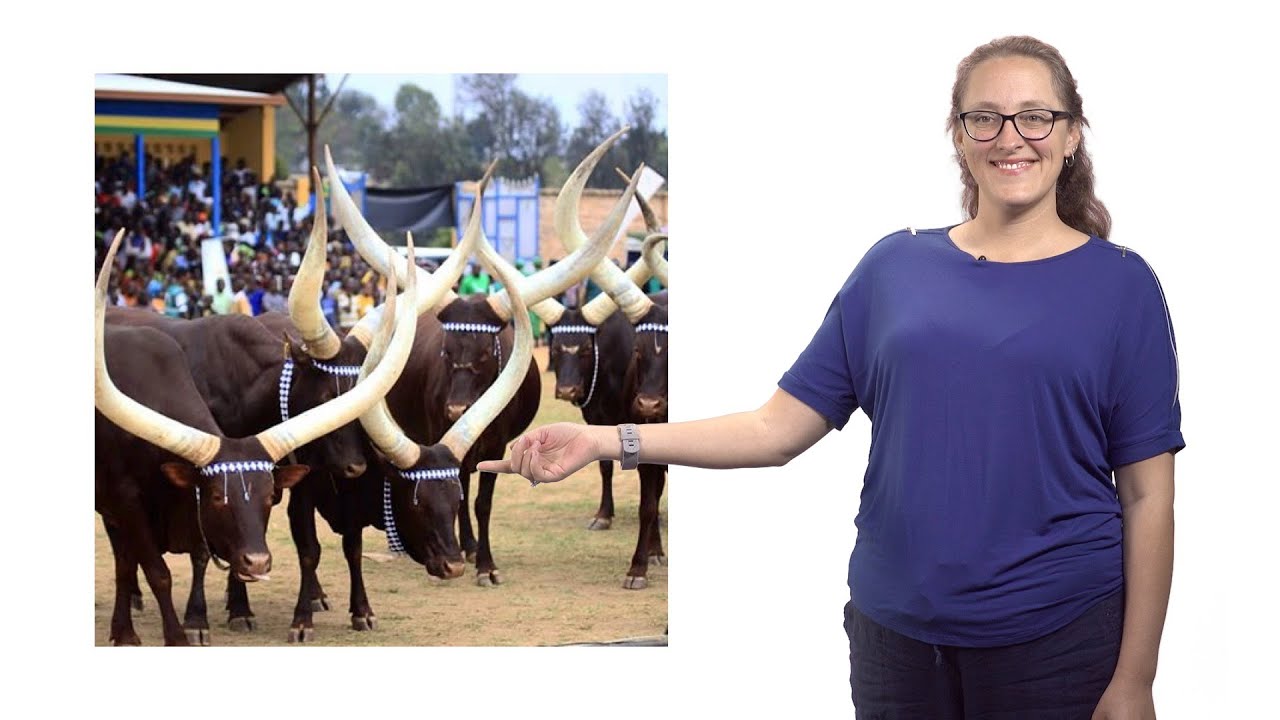 Rebecca Christofferson (LSU) 3: Characterizing Understudied Arboviruses: Orthobunyaviruses in Rwanda