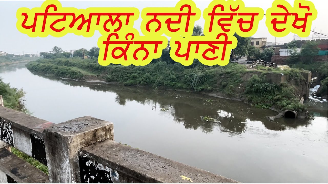 Patiala Nadi Flood | Patiala Update | Patiala Vasi | Patiala City Tour | Patiala Current Situation