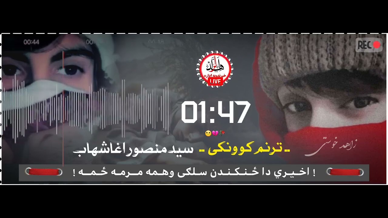 اخیري د ځکندن سلګۍ وهمه مرمه ځمه❤️  #viral #trendingnews #duet #afghanistan #pashtotarani 