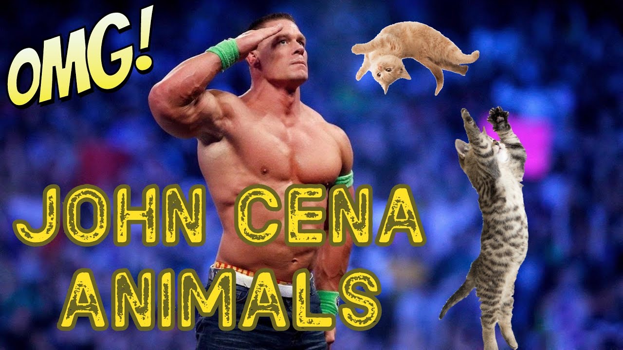 JOHN CENA Best Animals Edition | Crazy Vibes #29