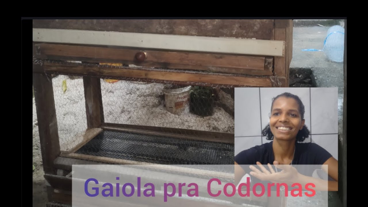 Gaiola pra Codornas 3 andares feita de Palet  - parte 2 @Umarocanomeucoracao
