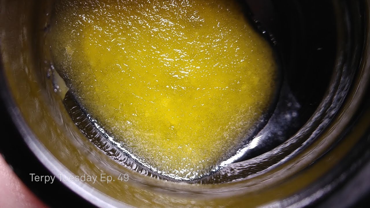 Terp Preservation Society Sunset Sherbet Sauce: Terpy Tuesday Ep. 49