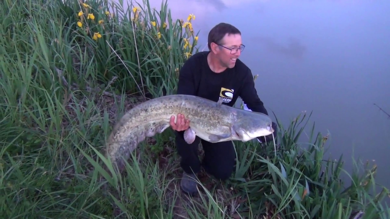 Pêche en mode hybrid style en canal