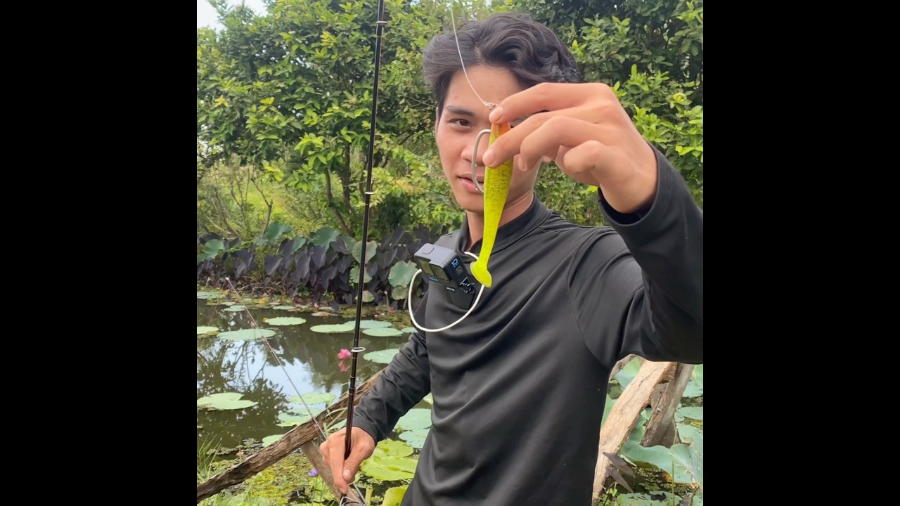 Điểm săn l&oacute;c b&ocirc;ng khủng p1 #huonglure