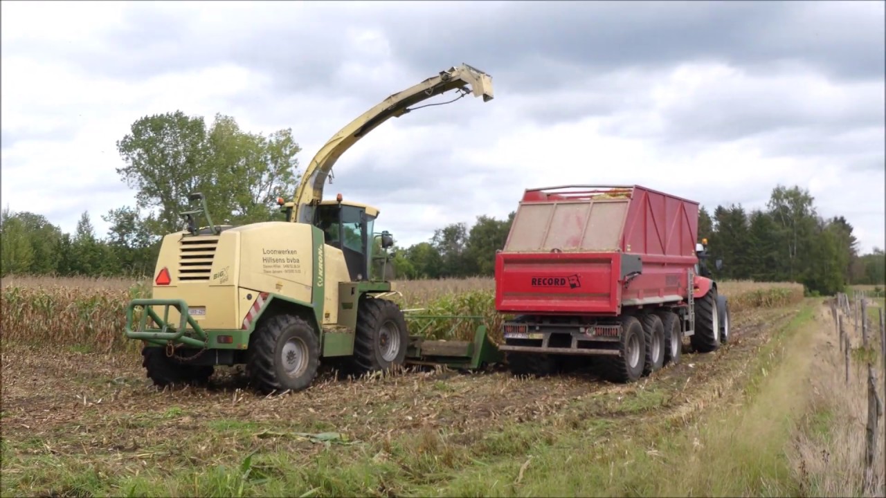 Hillsens mais hakselen 2019 , Krone Big X 500