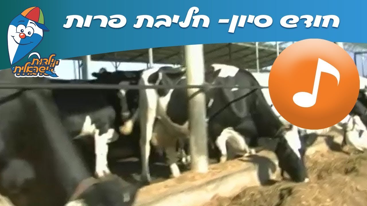 חודש סיון: חליבת פרות -שירי ילדות ישראלית-  ילדות ישראלית