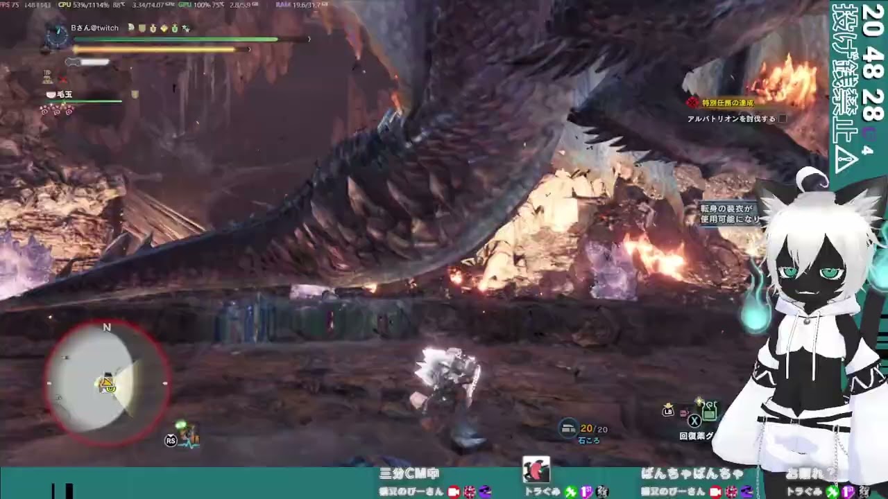 アルバハンマーソロ討伐回
