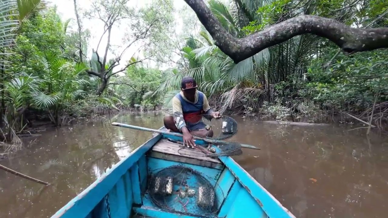 SPOTNYA BIKIN MERINDING!!! PASANG PERANGKAP KEPITING BAKAU PART 2