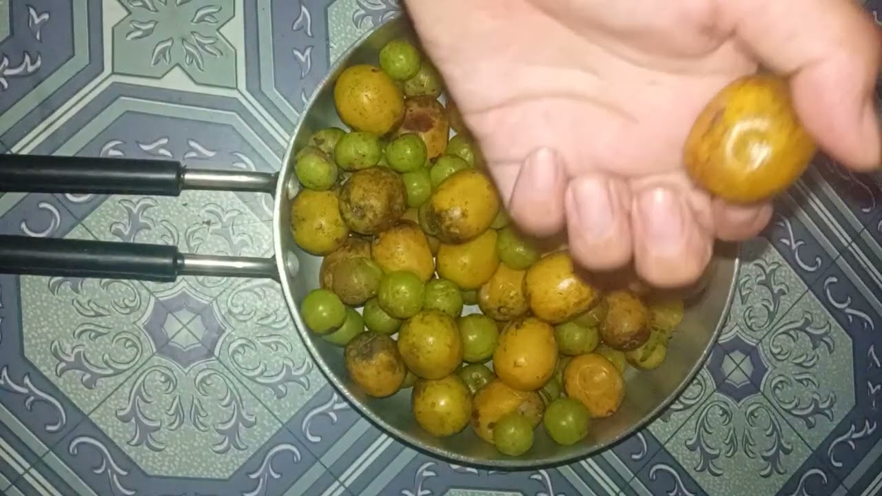Dharai paxi Neha ko Khabar k xa ta😲😲😮