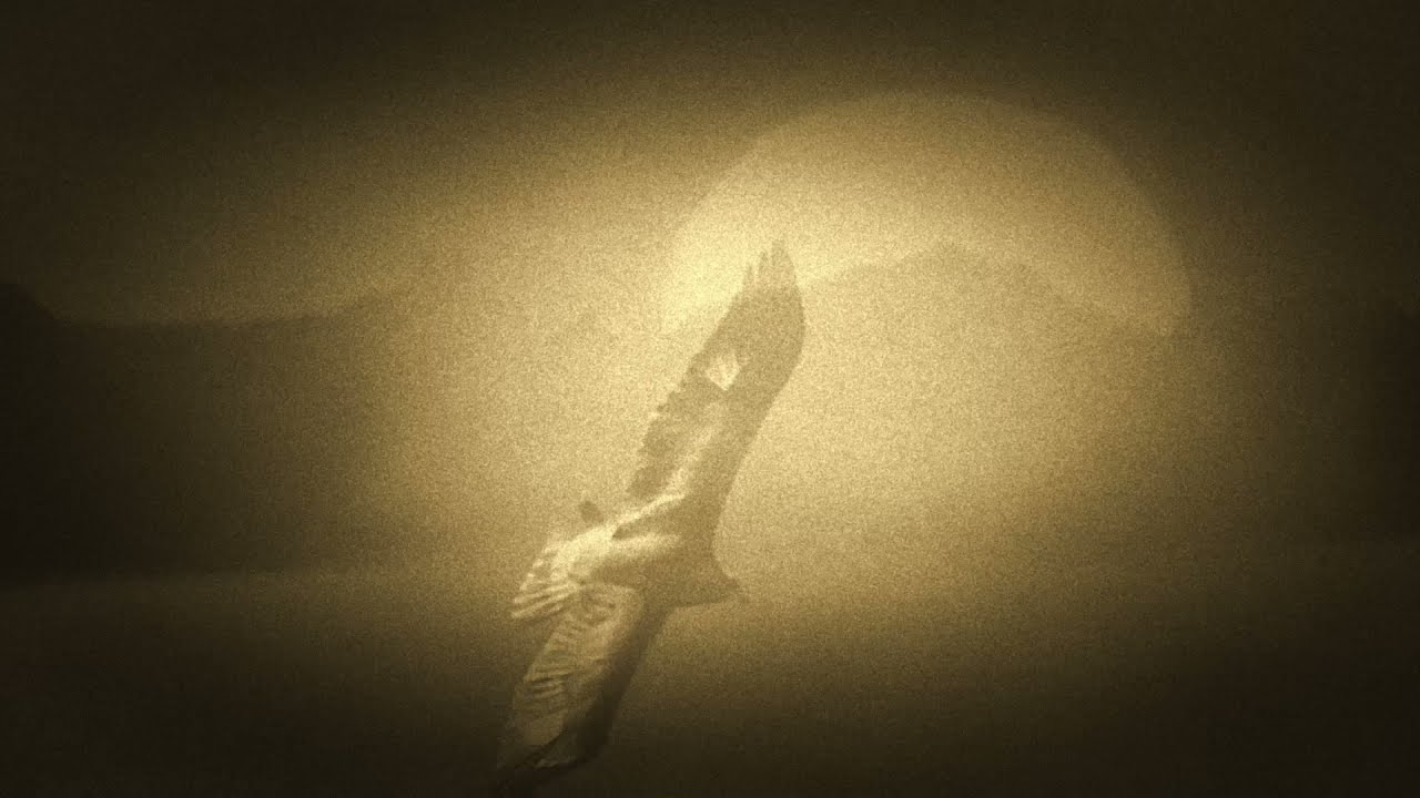 S.M.R.T. - Dark Wings of Golden Eagle