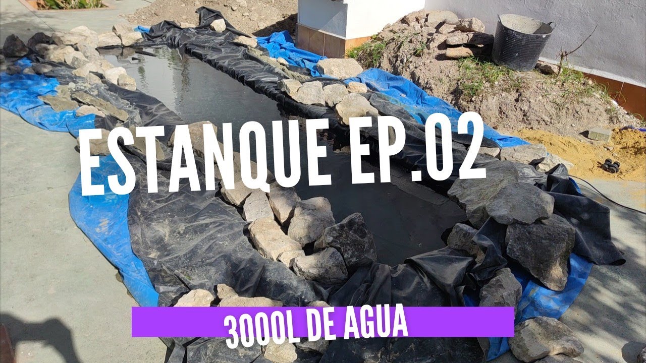 📌📌Estanque Ep02. Lonas, rocas y muuuchas agua 🌊🌊