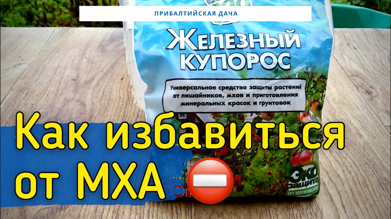 Как избавиться от Мха и Лишайников. Железный Купорос