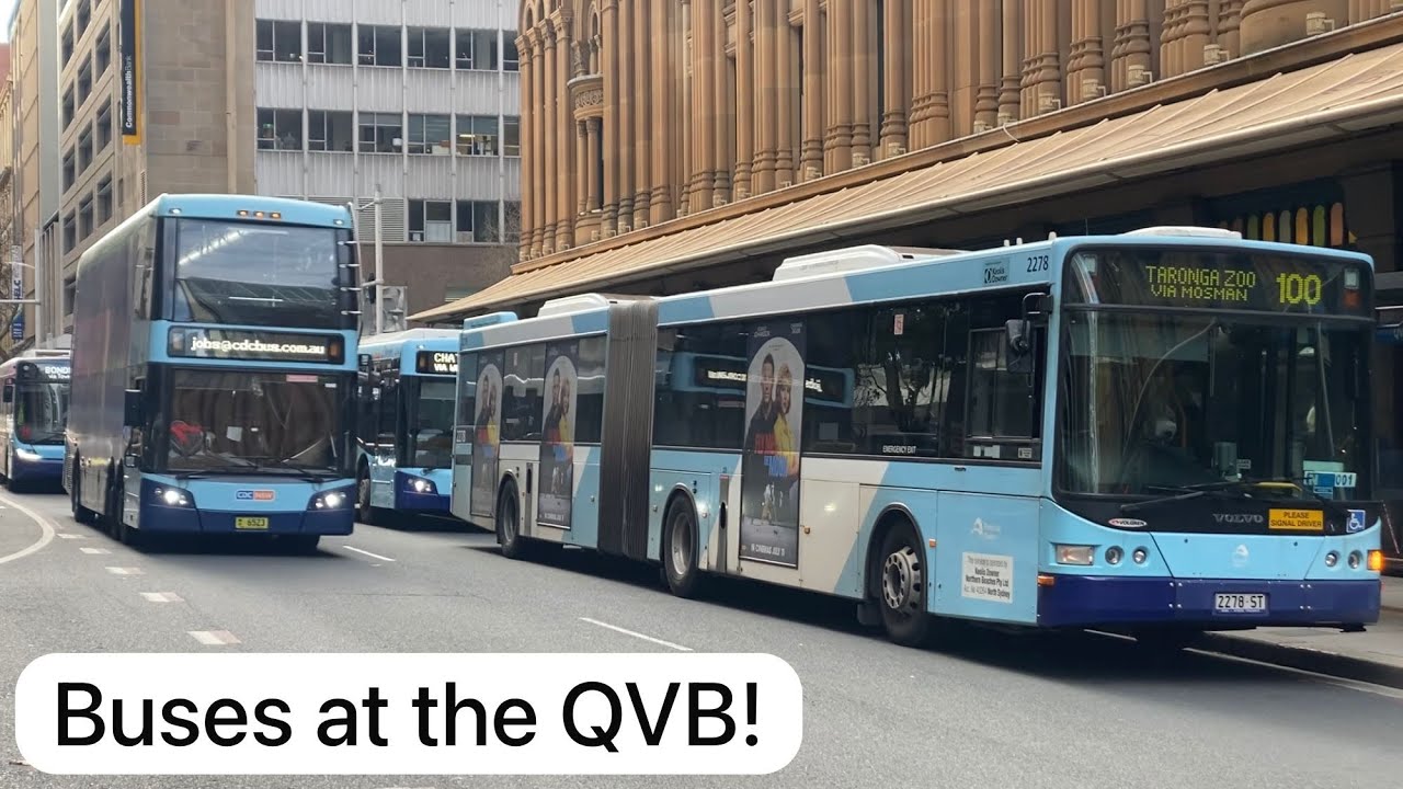 A Variety of Buses at the Queen Victoria Building! | Bus Vlog #31