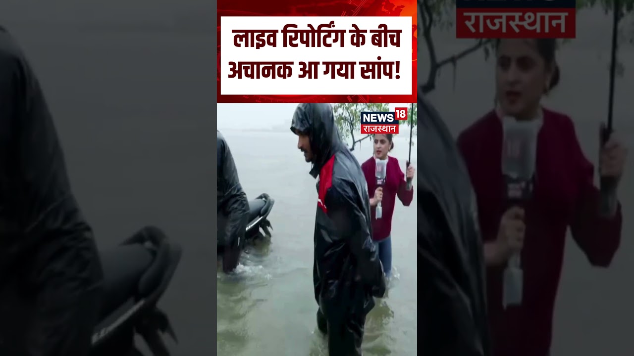 Live Reporting Snake Viral : रिपोर्टिंग के बीच अचानक दिखा काला नाग! | Reporter Viral Video | N18S
