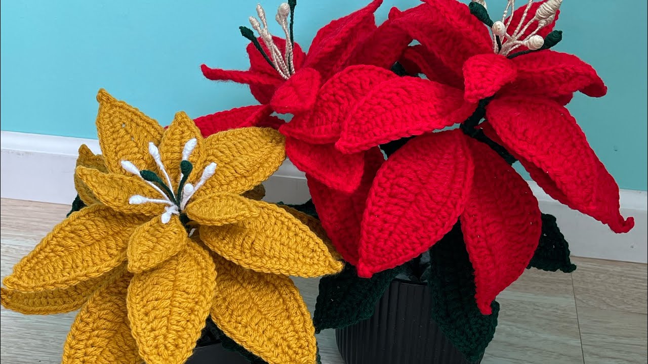 Flor noche buena 🌺oh pascua paso a paso 🥰🧶
