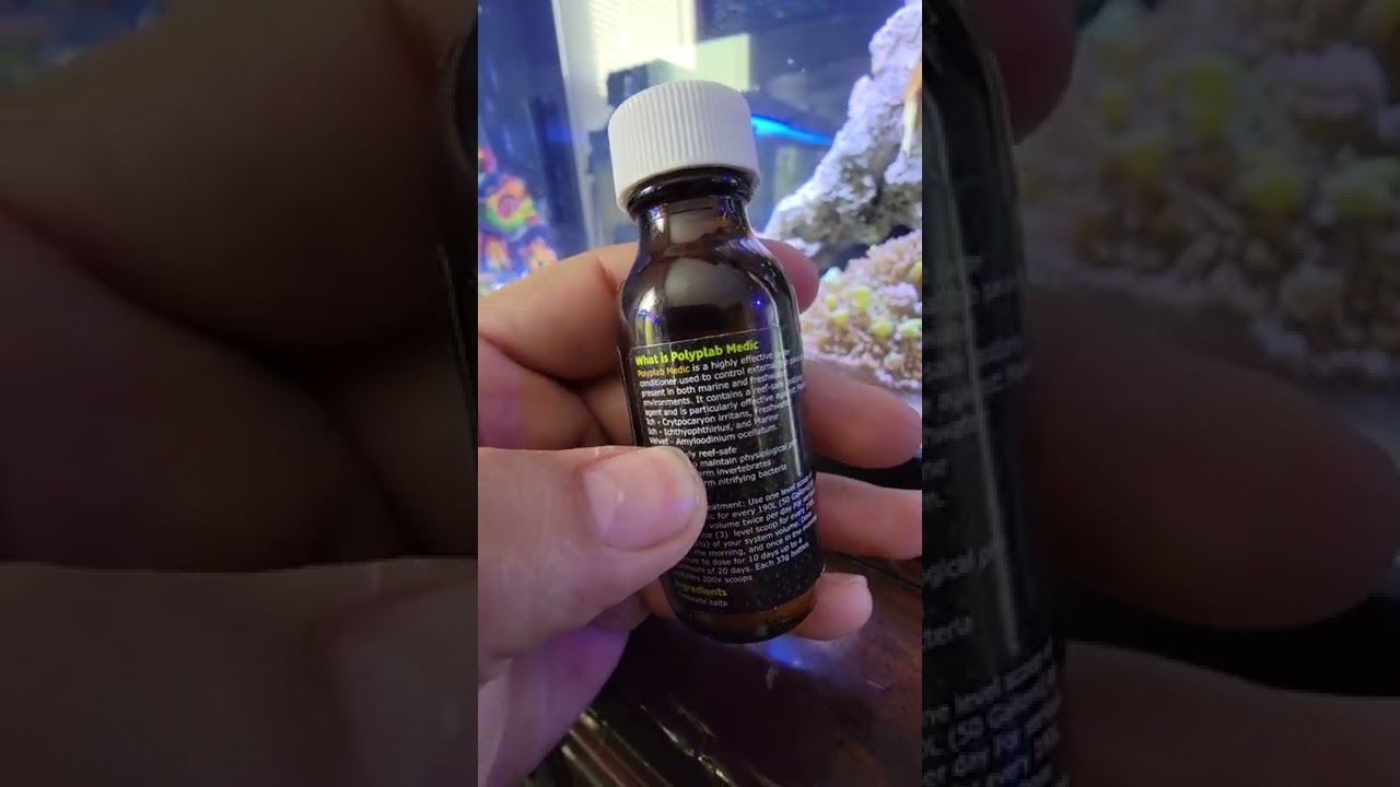 How to Cure Ich and Marine Velvet with Coral Still in Your Tank. GAME CHANGER!!!!