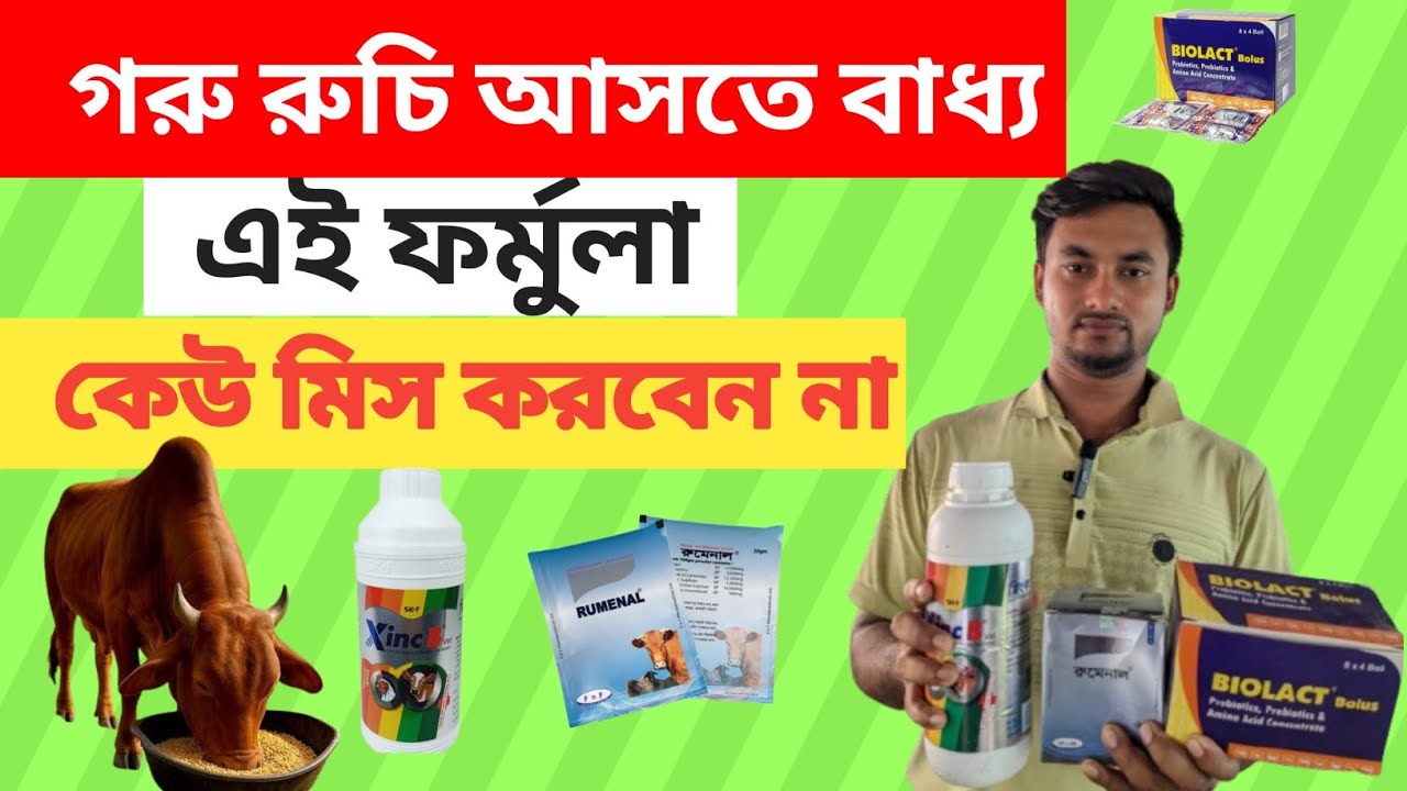 🐄 গরু খাবার খাচ্ছে না? রুচি বাড়ানোর সহজ উপায়  দেখুন!