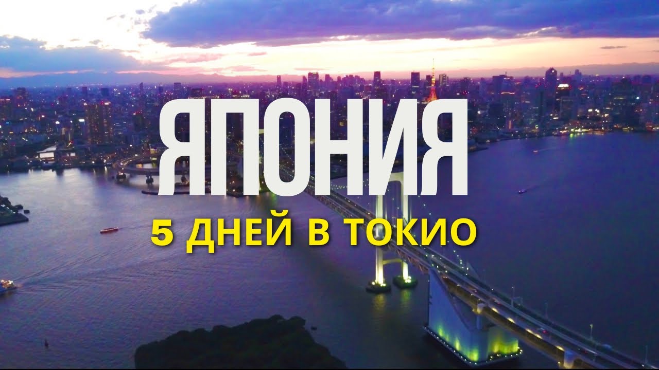 Япония 2024 | 5 дней в Токио большой Влог