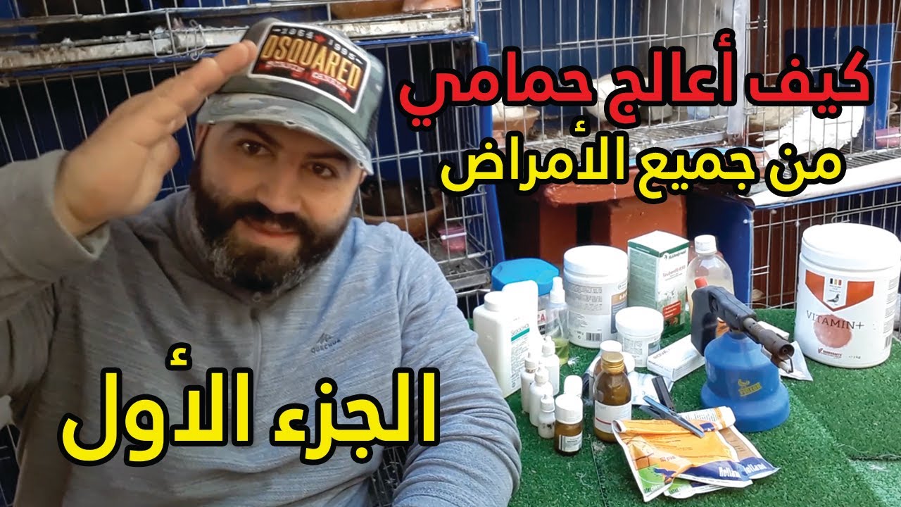 كيف أعالج حمامي من جميع الأمراض الجزء الأول