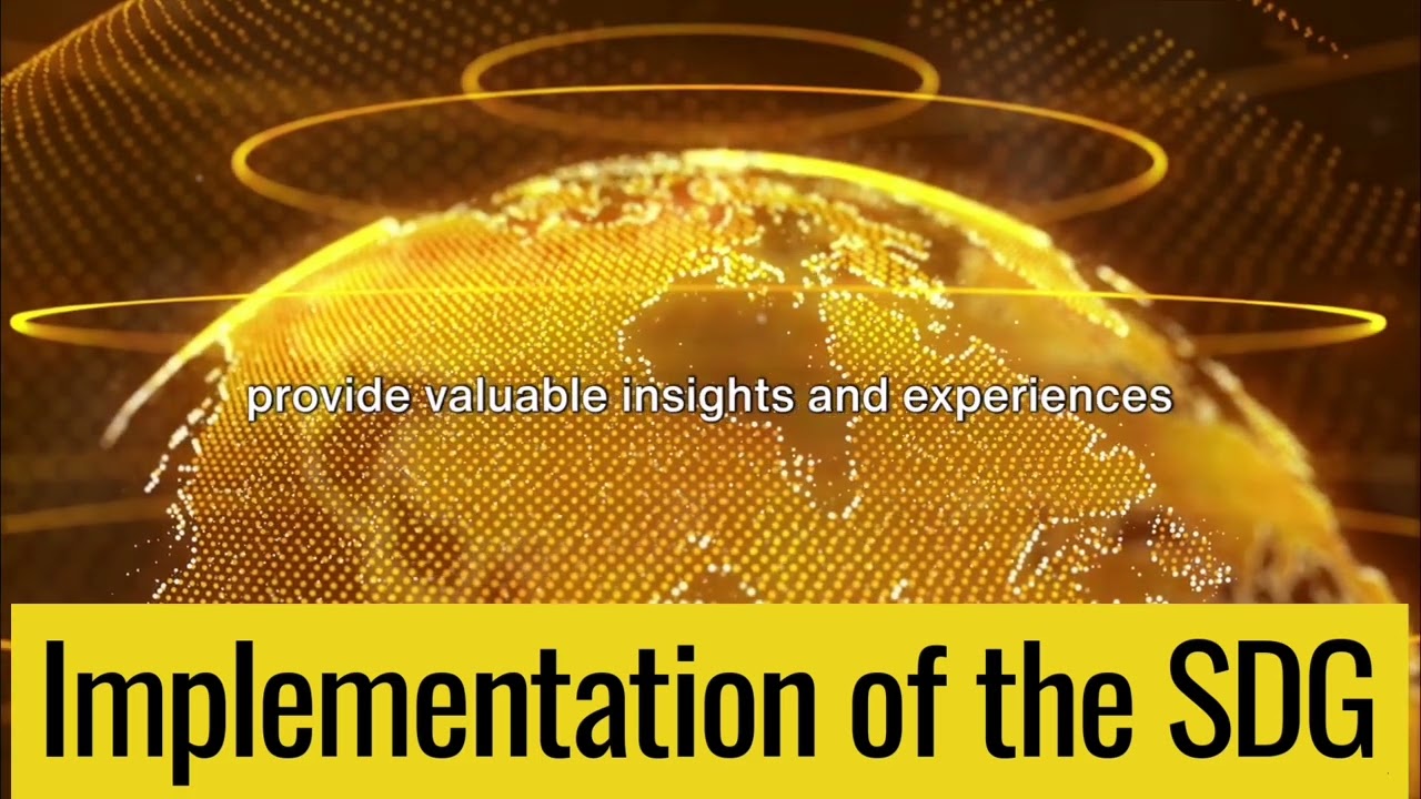Implementation of the Sustainable Development Goals in Developed and developing countries