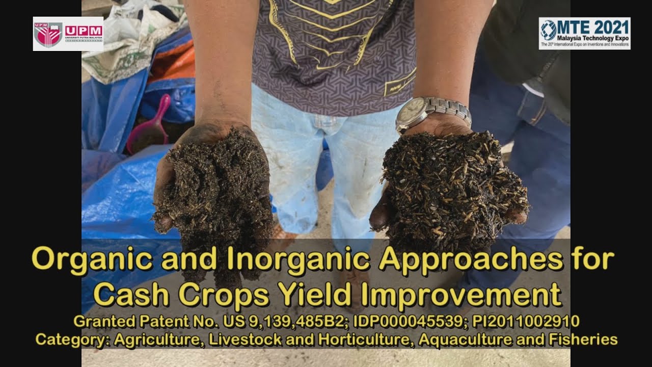 Organic and Inorganic Approaches for Cash Crop Yield Improvement