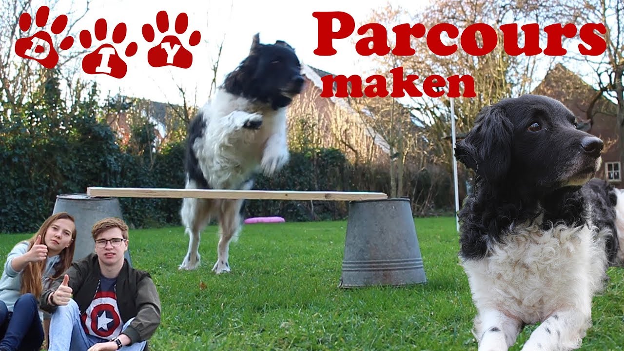 Zelf een honden parcours maken! DIY/Tutorial + Intro // Bae Productions