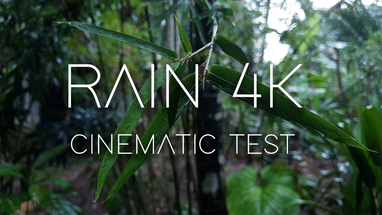 Rain | Samsung Galaxy Note 10 Plus Cinematic Video Test