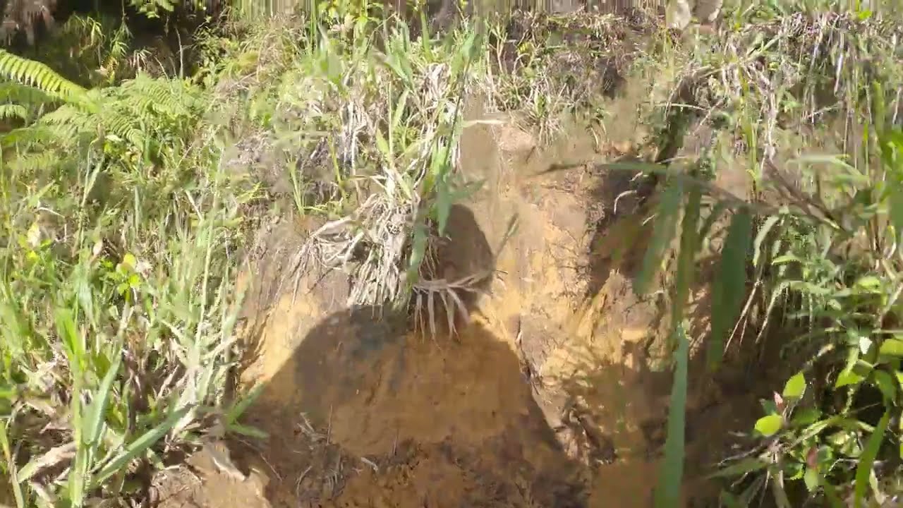 El Pianista, the path after the Mirador - Part 4