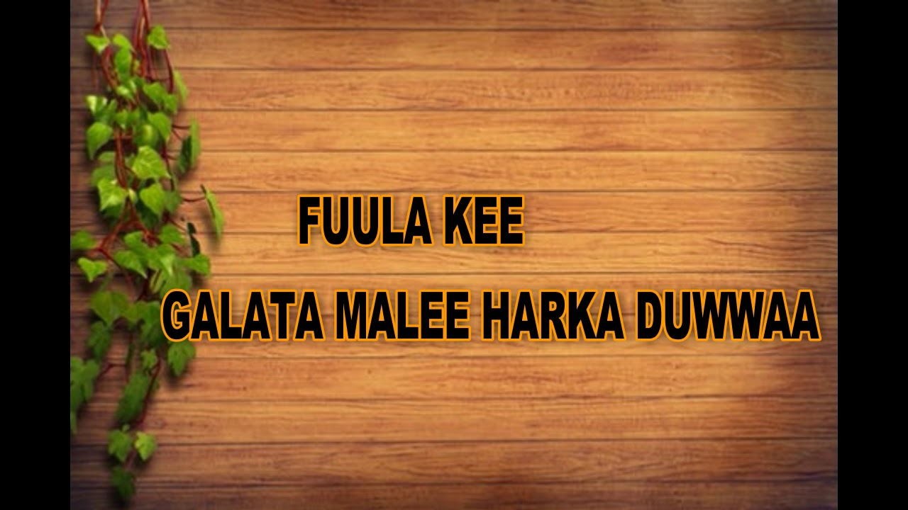Eliyas Gabulaa akkamiinan dhufa?