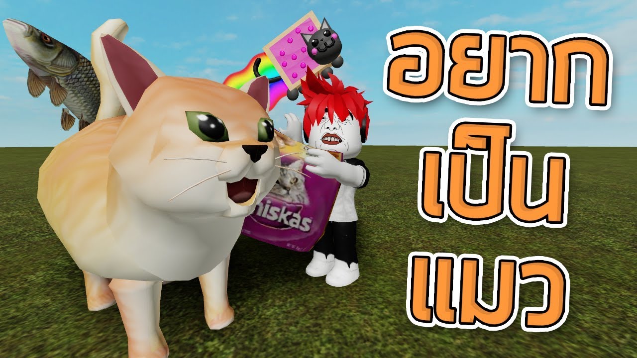 ROBLOX - กูอยากเป็นแมว 🐱