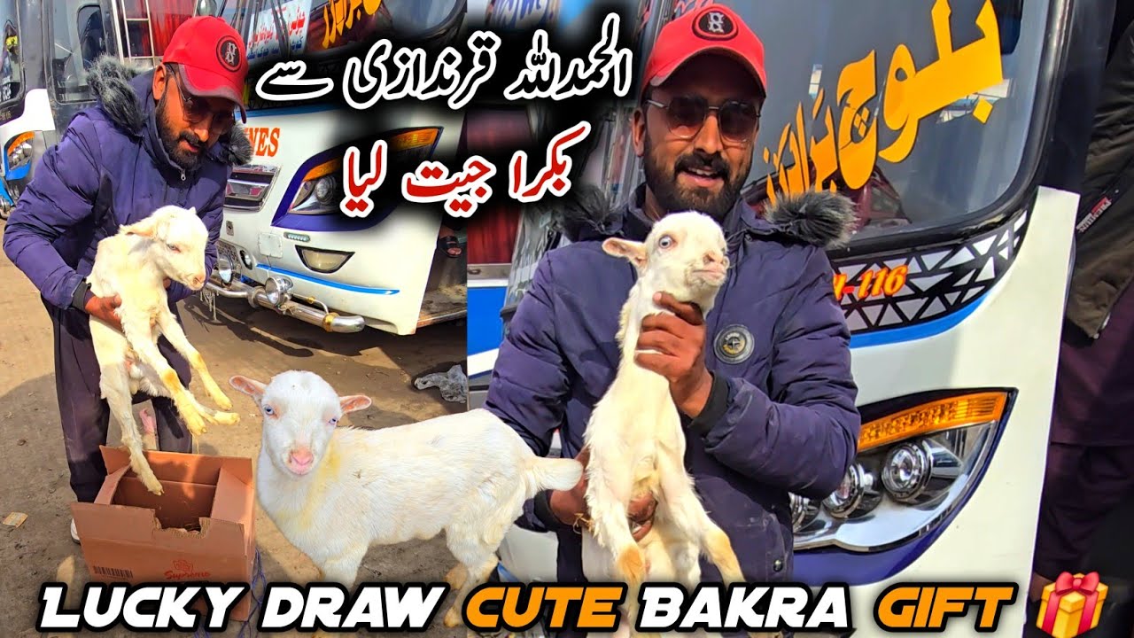 Alhamdulilah Lucky Draw Se Cute Bakra Win Kar Liya 🎊 MB Vlogs 