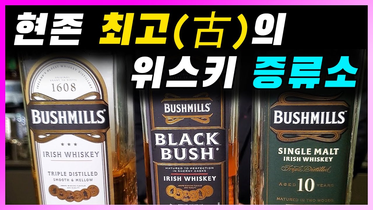 [ 위스키 ] 부쉬밀 싱글몰트 10년 | 세계 최고(古)의 증류소. 아이리시 위스키의 흥망성쇠