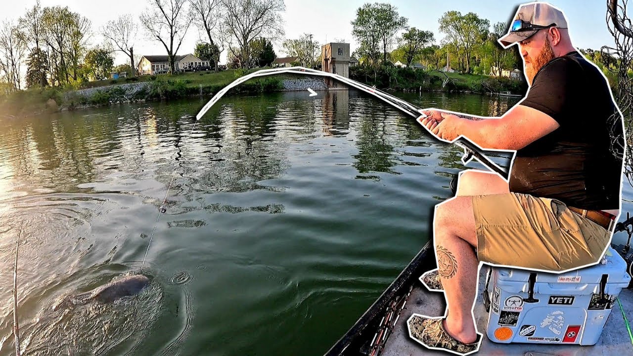 BIG CATFISH FISH SLAMS ROD INTO THE WATER!