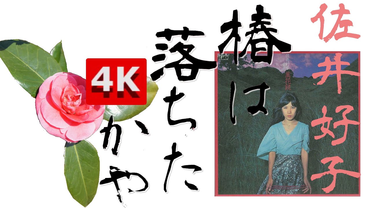 【👆Yoshiko Sai 4K🔍】✨佐井好子❤ -✿椿は落ちたかや❁Tsubaki Wa Ochita Kaya🎼The camellia has dispersed ?🤍1975🌟スッキリいい音♪